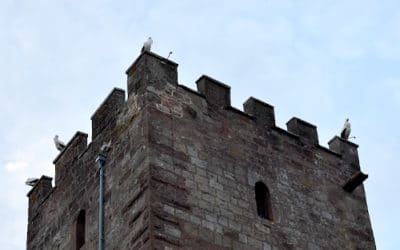 Devenez Guetteur de la Paix à WOERTH