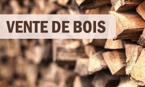 vente de bois2