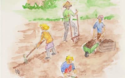 Un jardin partagé à Woerth