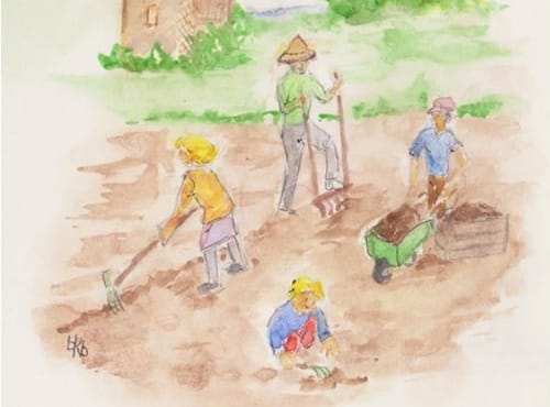 Un jardin partagé à Woerth