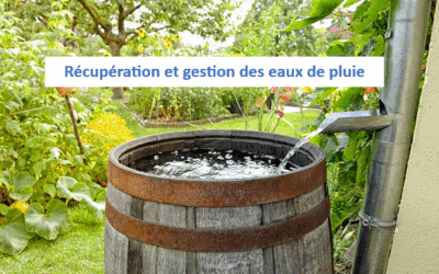 Récupération et gestion des eaux de pluie sur mon terrain