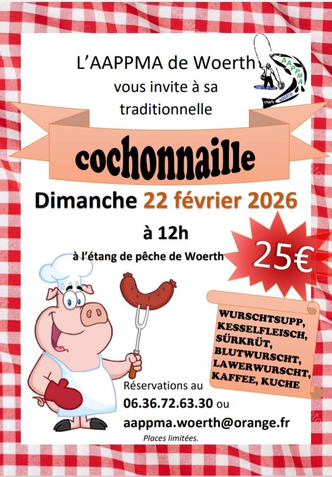 594286324_1409974340706285_7150091857034365911_n